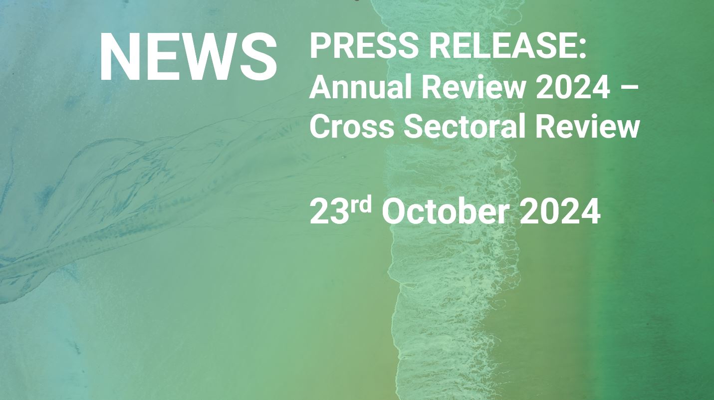 Annual Review 2024 - Cross Sectoral Review